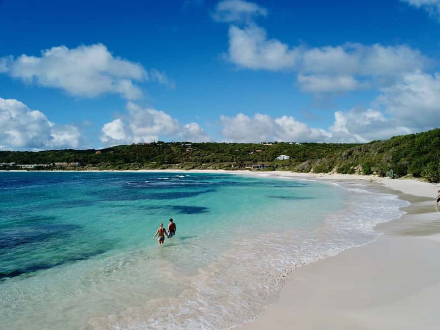 From St John's: Half Moon Bay Beach Half-Day Trip by Van - The road from St John’s to Half Moon Bay