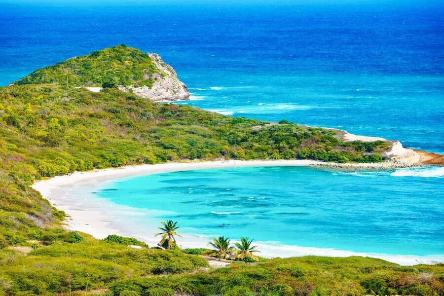 From St John's: Half Moon Bay Beach Half-Day Trip by Van - Three hours to swim, snorkel, and slow down