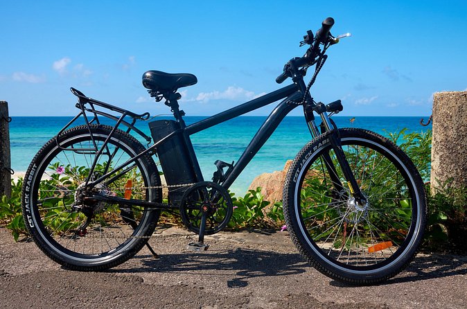 Guided Orange Valley Bike and Hike - Learning about Antigua Black Pineapple