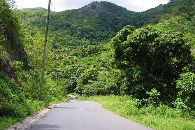 Half-Day Tour: A Taste of Paradise and History of Antigua - Shirley Heights delivers the big harbor view