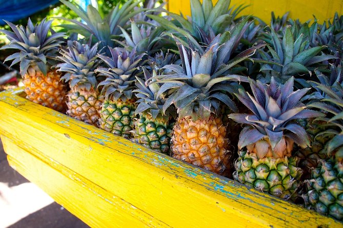 Half-Day Tour: A Taste of Paradise and History of Antigua - Who will enjoy this Antigua tour most?
