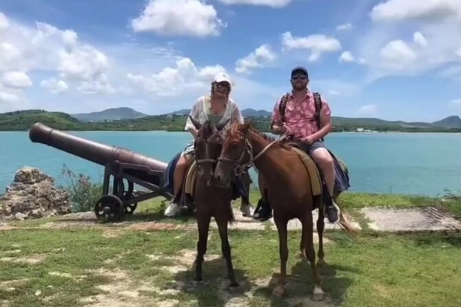 Horseback Riding at Hawksbill Beach in Five islands Antigua - Friendly Horses and Careful Guides