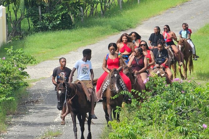 Horseback Riding at Hawksbill Beach in Five islands Antigua - Practical Details That Can Shape Your Day