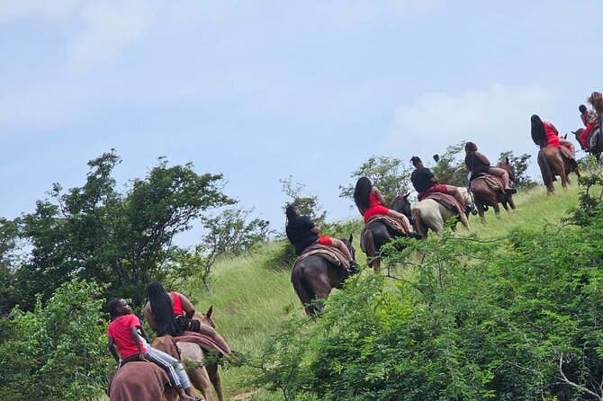 Horseback Riding at Hawksbill Beach in Five islands Antigua - The Hilltop View Above Galley Bay