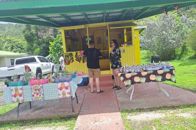 Island Tour - A practical way to see Antigua in half a day