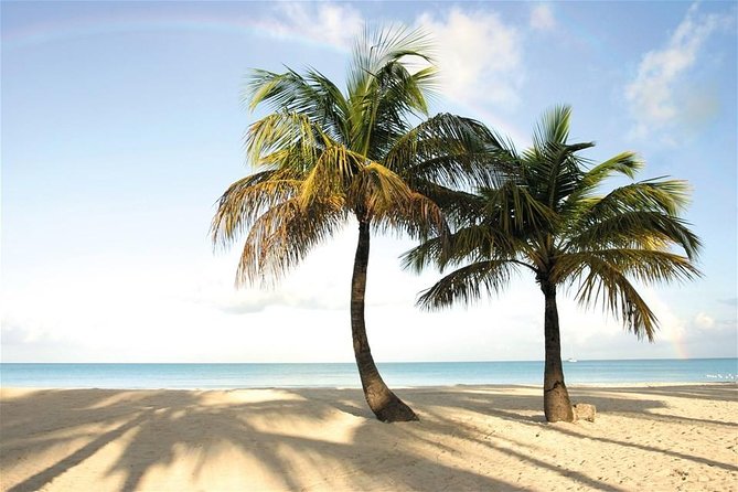 Long Bay, Devil's Bridge and Pigeon Point Beach: Life's A Beach Crawl! - Devil’s Bridge: Antigua’s Atlantic edge in ten minutes