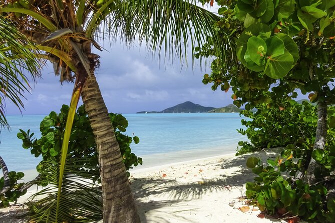 Most Beautiful Beaches of Antigua: Valley-Jolly or Fort-Dickenson - Key points to know before booking