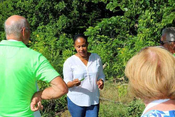 Nicole's Table - Cooking with Rum - Tips for cruise passengers and small groups