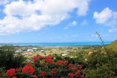 Nicole’s Table – Coordinating Curry