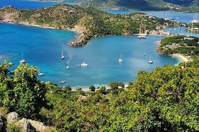 Private Snorkeling and Sightseeing Tour of Antigua - What you might see below the surface