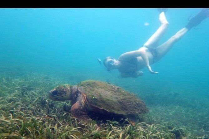Private Snorkeling and Sightseeing Tour of Antigua - Shirley Heights for the broad harbor view
