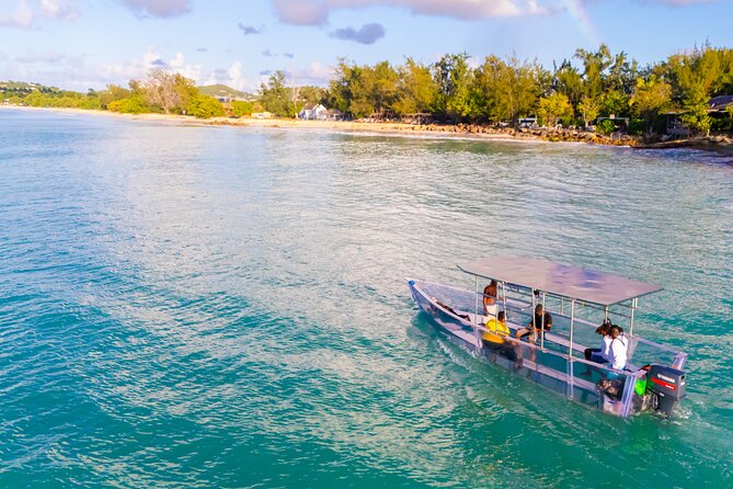 Reef Explorers Transparent Boat and Beach Tour - Who will enjoy this trip most
