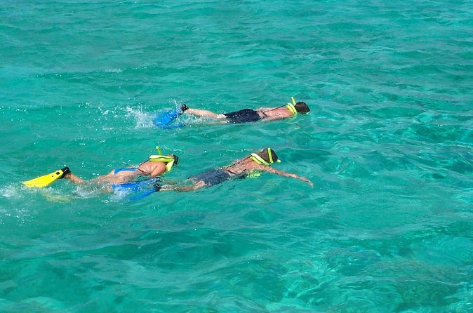 Sail and Snorkel at Cades Reef - Who will enjoy this trip most?