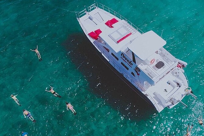 Snorkel - Lobster Lunch Cruise to Bird Island and Paradise Reef - Key points to know before you go