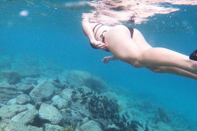 Snorkeling, Kayaking and Paddle Board Activity in Antigua - Key points to know before you book