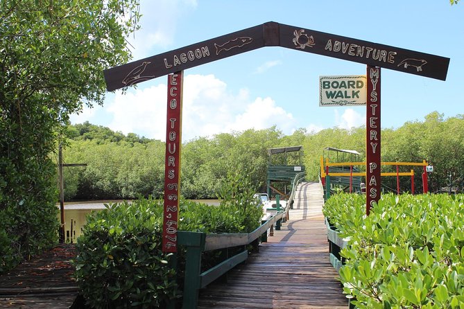 SoCoHo Eco Half Day - Mangrove Kayak & Reef Snorkeling - Snacks, rum punch, and a small beach break