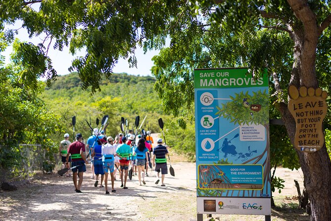 SoCoHo Eco Half Day - Mangrove Kayak & Reef Snorkeling - The guides make the difference