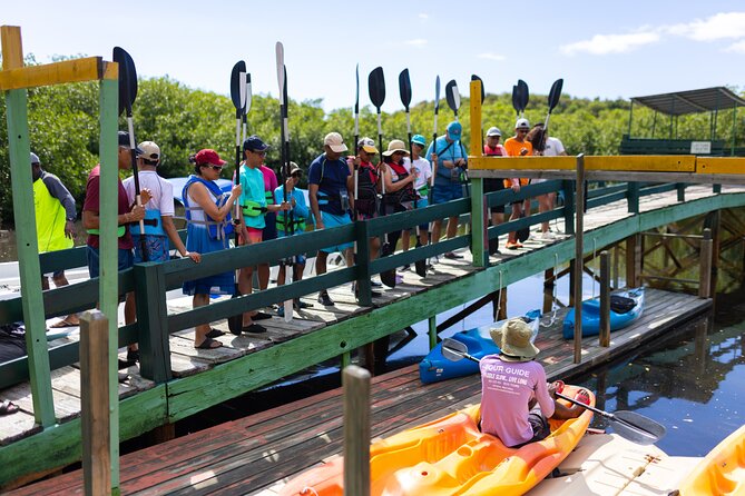 SoCoHo Eco Kayak and Snorkel Tour - Who will enjoy this Antigua eco tour most