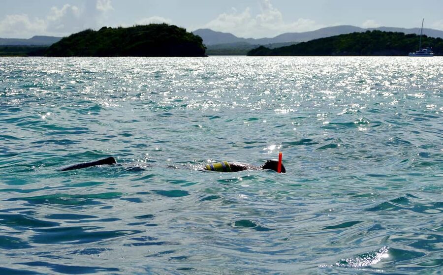 St. John's, Antigua Kayak, Snorkeling, & Beach Bird Island - Five things to know before you book