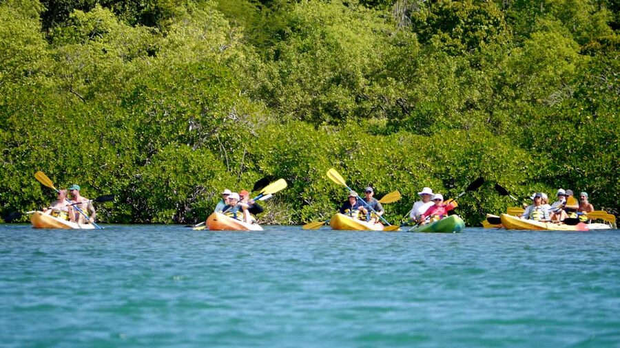 St. John's, Antigua Kayak, Snorkeling, & Beach Bird Island - A four-hour taste of Antigua’s coast