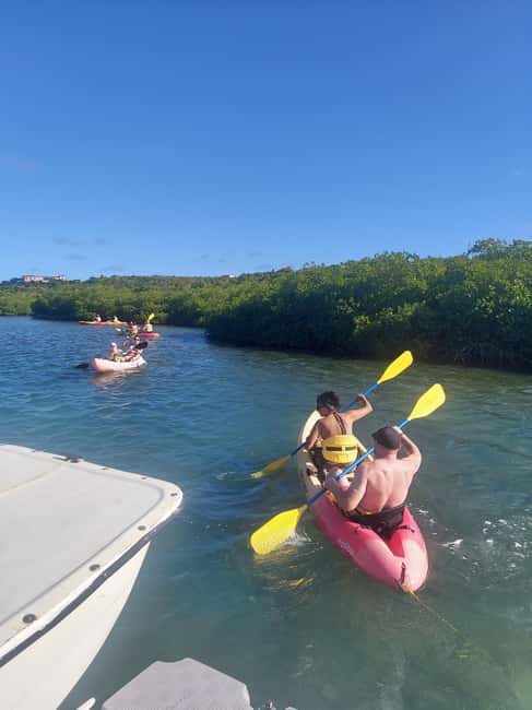 St. John's, Antigua Kayak, Snorkeling, & Beach Bird Island - Paddling through red mangroves at Willikies