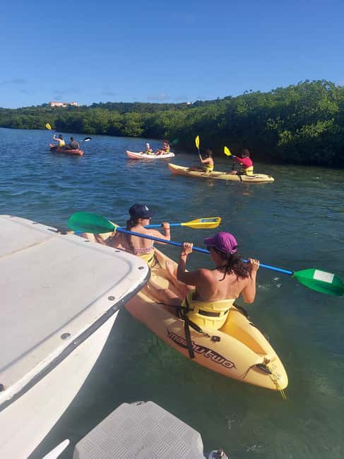 St. John's, Antigua Kayak, Snorkeling, & Beach Bird Island - Snorkeling near Great Bird Island