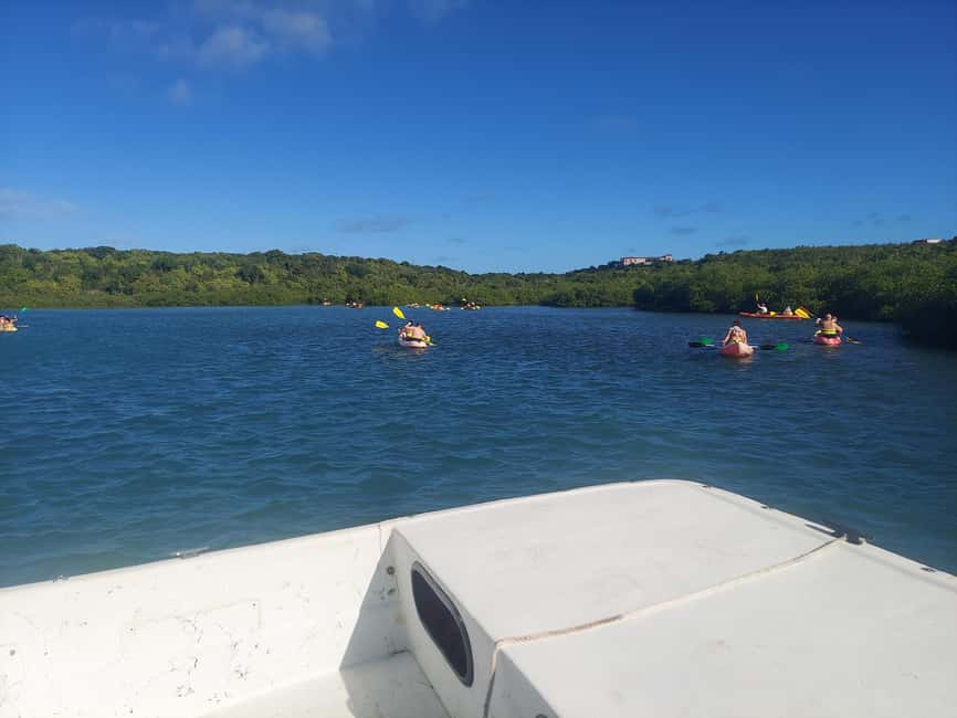 St. John's, Antigua Kayak, Snorkeling, & Beach Bird Island - White sand, swimming, and a quiet break