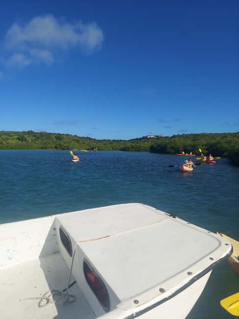 St. John's, Antigua Kayak, Snorkeling, & Beach Bird Island - The human side of the outing