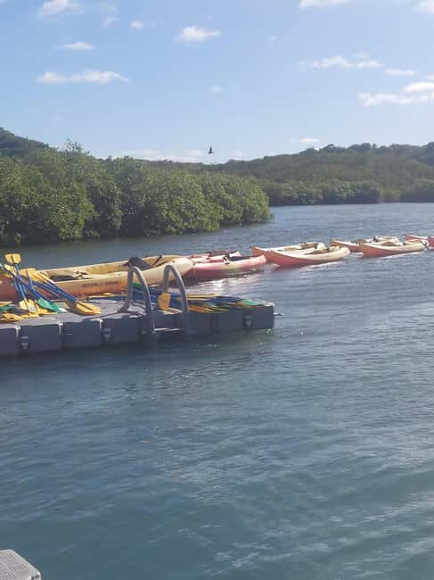 St. John's, Antigua Kayak, Snorkeling, & Beach Bird Island - Who will enjoy this most?