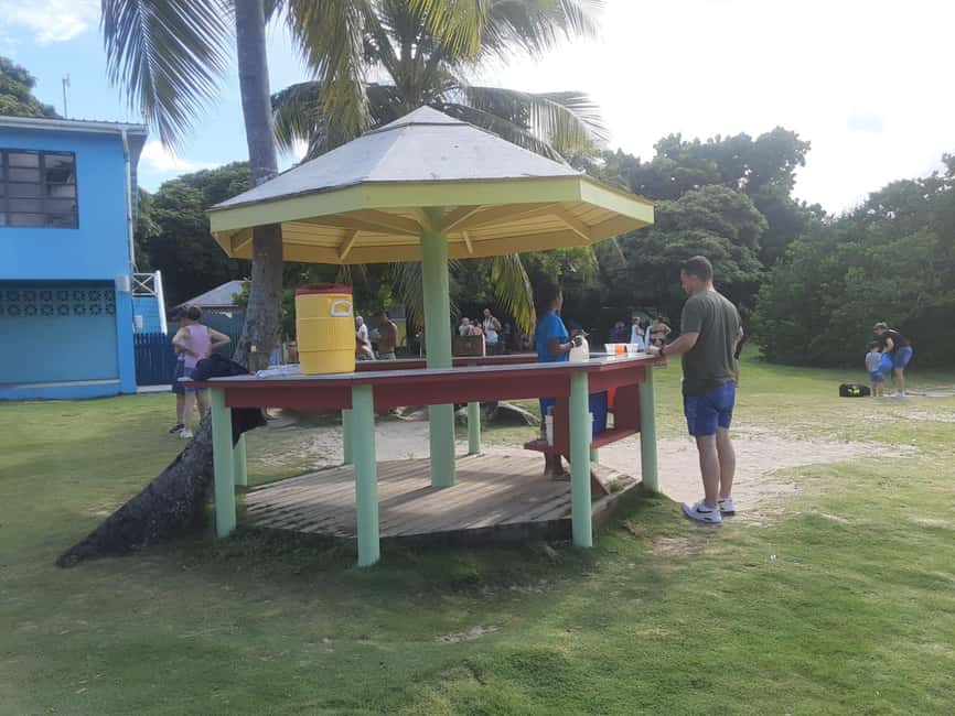 St. John's; Combo Laviscount Island & Swimming with Stingray - Key points to know before booking