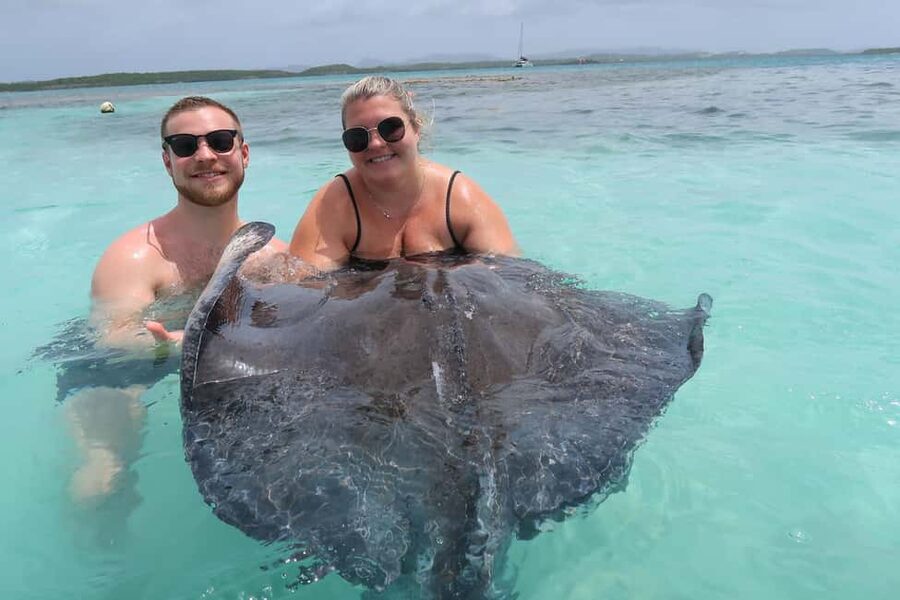 St. John's; Combo Laviscount Island & Swimming with Stingray - Meeting the stingrays at Stingray City