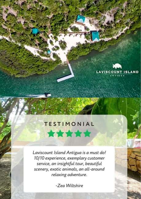 St. John's; Combo Laviscount Island & Swimming with Stingray - Should you book the Laviscount Island and stingray combo?