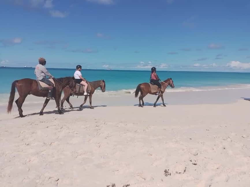 St. Johns: Horseback Riding Bareback Swim, &Fort James Beach - The horseback ride: calm pace, local scenery