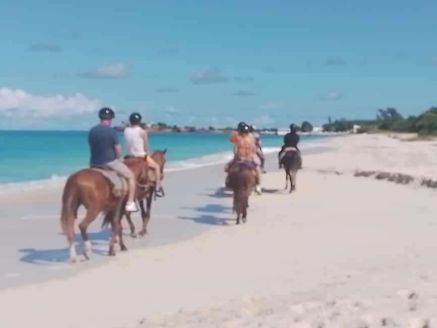 St. Johns: Horseback Riding Bareback Swim, &Fort James Beach - FAQ