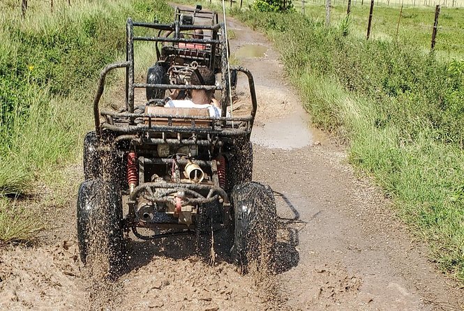 St. Mary's Mud Buggy Experience - Is $145 good value?