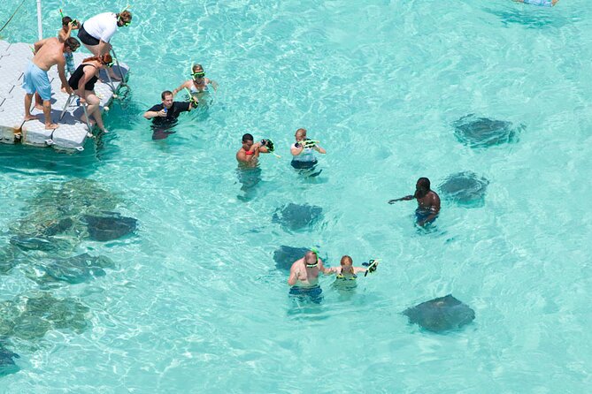 Stingray City - Key points to know before you book