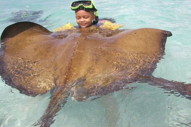Stingray City - What the three-hour visit can include
