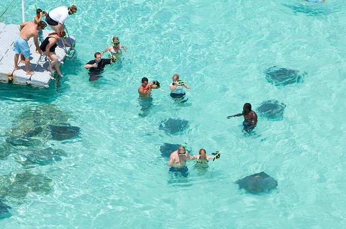 Stingray City - Why the group size of 14 matters