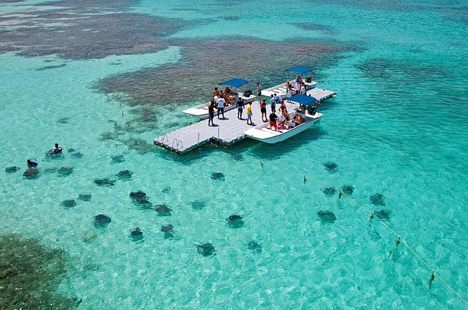 Stingray City - The marine life beyond the stingrays