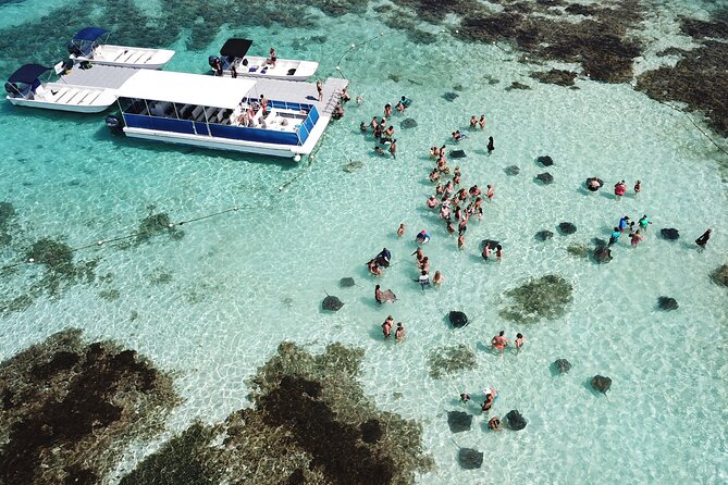 Stingray City Antigua for all the ages - ROUND TRIP INCLUDED - Key points to know before you book