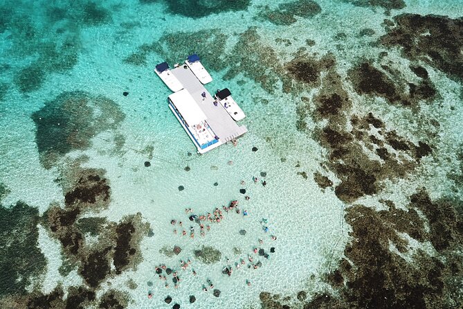 Stingray City Antigua for all the ages - ROUND TRIP INCLUDED - Guides who add more than a transfer