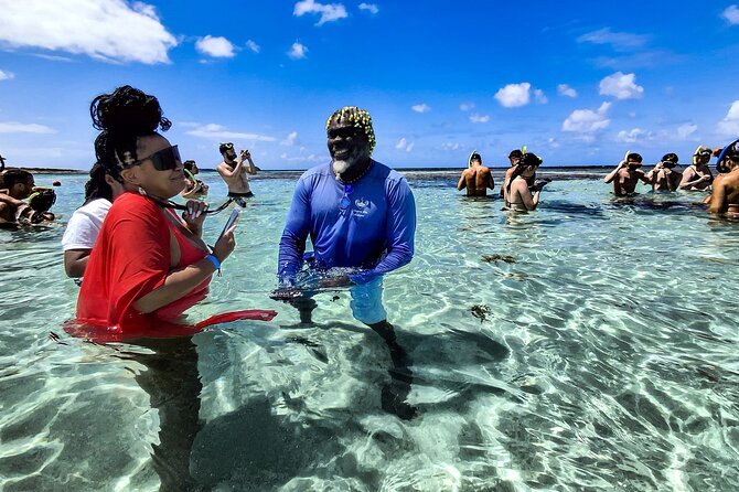 Stingray City Experience Antigua - Cruise Ship Passengers Edition - Touching, Feeding, and Photographing the Rays
