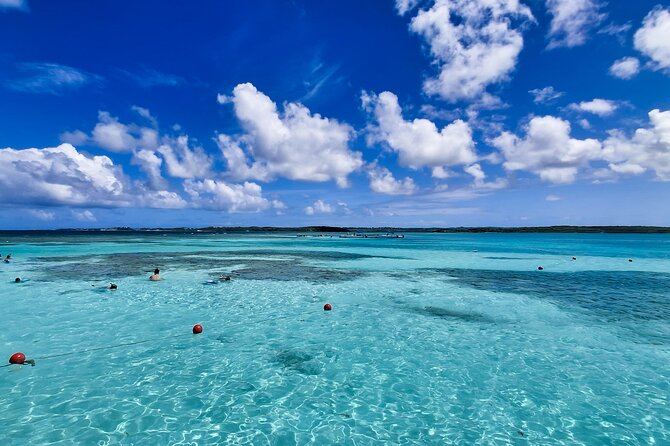 Stingray City Experience Antigua - Cruise Ship Passengers Edition - Crowds, Group Size, and Comfort