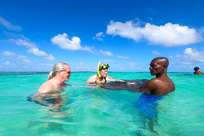 Stingray City Experience Antigua - Cruise Ship Passengers Edition - Practical Tips Before You Book