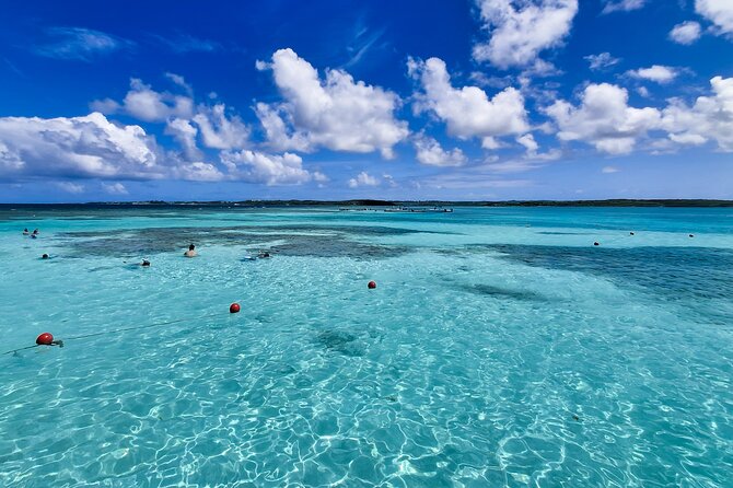 Stingray City experience, Devils Bridge and Long Bay Beach - Is $174.90 a fair price?