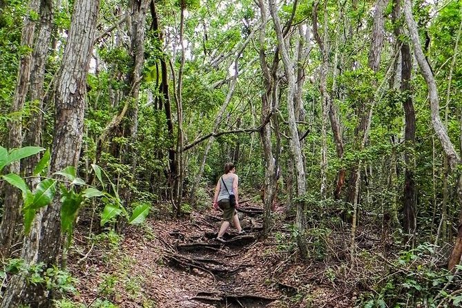 Trek Tours Hiking Experience in Antigua - Carpenter’s Rock and the highest peak