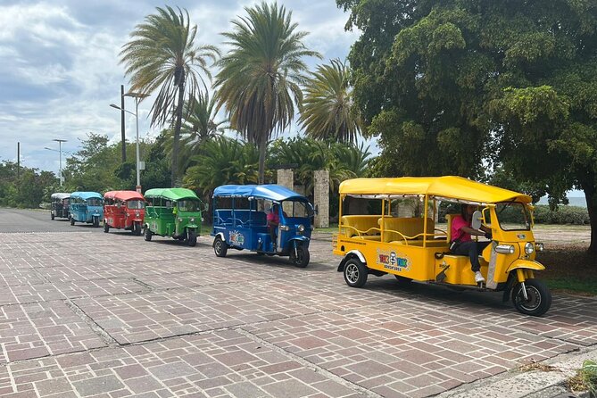 Tuk-Tuk Adventures Rainforest and Beach Hopping Tour - Through Fig Tree Drive and Antigua’s forest