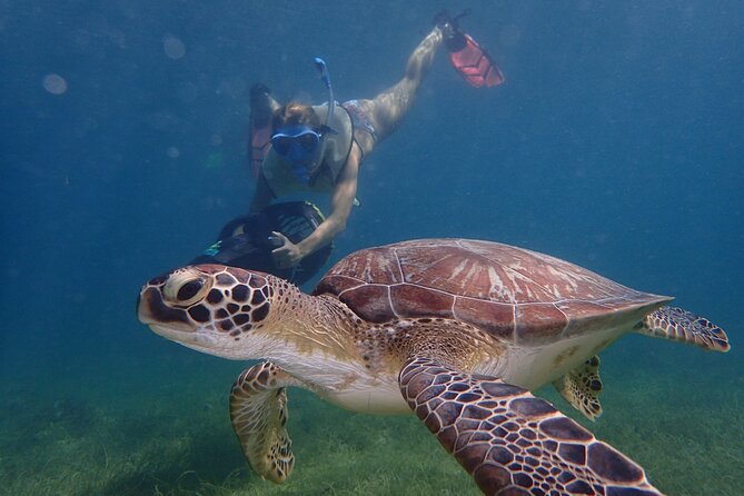 Turtle Beach Power Snorkeling Adventure - Starting at Freeman’s Bay