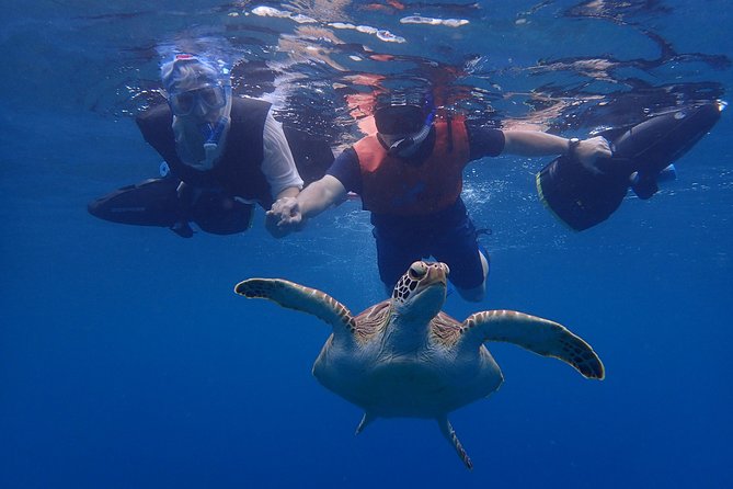 Turtle Beach Power Snorkeling Adventure - Why the Scooter Changes the Experience
