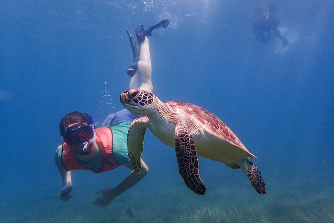 Under the Sea snorkeling(Stingray/Kayak/ Power Snorkel available) - Choosing the right corner of Antigua’s coast